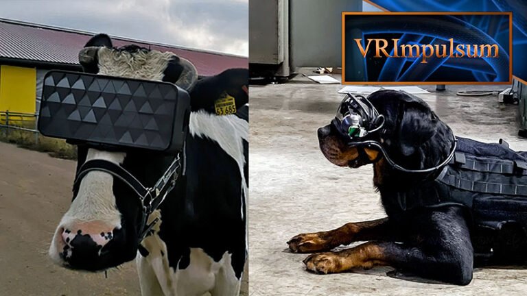 VR Impulsum #08 : Les animaux et la réalité virtuelle ?!